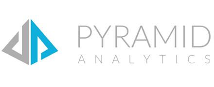 Pyramid Analytics - Using analytics for faster, wiser,  more profitable business decisions in the insurance sector